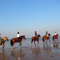 Balade a la plage